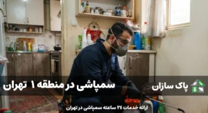سمپاشی در منطقه 1 تهران
